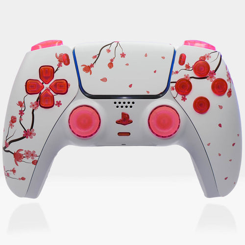 Mannete PS5 a Pallete  Custom